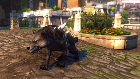 Neverwinter: Guardian of Neverwinter Pack Key GLOBAL - 7