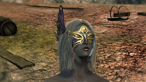 Neverwinter: Guardian of Neverwinter Pack Key GLOBAL - 4