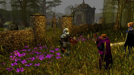 Neverwinter Nights: Darkness Over Daggerford (PC) - Steam Key - GLOBAL - 6