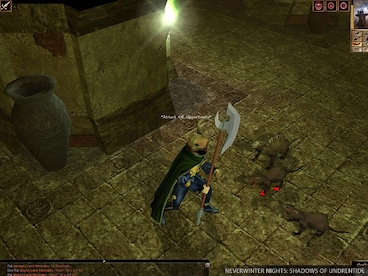 Neverwinter Nights Diamond (PC) - GOG.COM Key - GLOBAL - 3