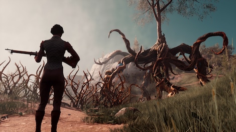 Nightingale (PC) - Steam Key - GLOBAL - 13