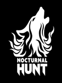 Nocturnal Hunt Steam Key GLOBAL - 1