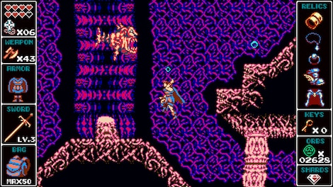 Odallus: The Dark Call Steam Gift GLOBAL - 15