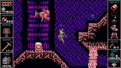 Odallus: The Dark Call Steam Key GLOBAL - 15