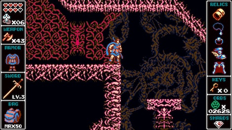 Odallus: The Dark Call Steam Key GLOBAL - 7