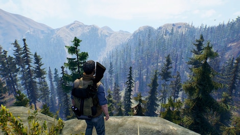 Open Country (PC) - Steam Key - CIS - 2