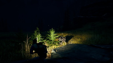 Open Country (PC) - Steam Key - CIS - 3