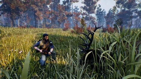 Open Country (PC) - Steam Key - CIS - 4