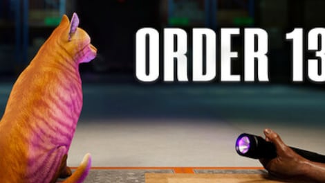 Order 13 (PC) - Steam Key - GLOBAL - 0