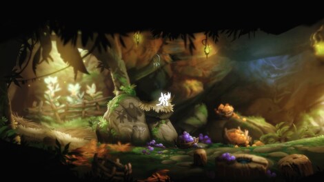 Ori and the Blind Forest (PC) - Steam Gift - GLOBAL - 28