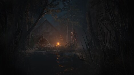 Outlast 2 (PC) - Steam Gift - EUROPE - 10