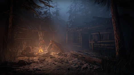 Outlast 2 (PC) - Steam Key - GLOBAL - 18