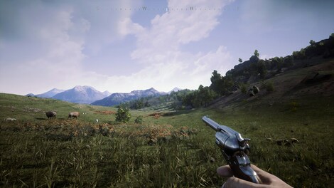 Outlaws of the Old West Steam Gift GLOBAL - 17