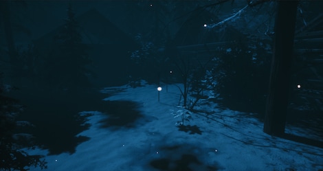 Outside Steam Key GLOBAL - 3