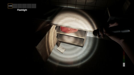 PANICORE (PC) - Steam Key - NORTH AMERICA - 3