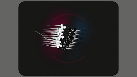 Particulars Steam Key GLOBAL - 2