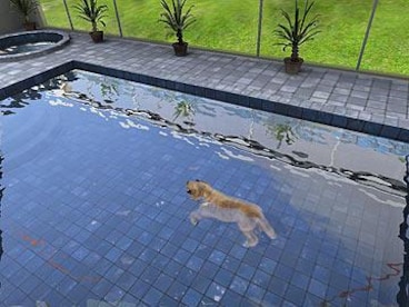 Paws & Claws: Pampered Pets Steam Key GLOBAL - 0