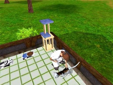 Paws & Claws: Pet Vet Steam Key GLOBAL - 0