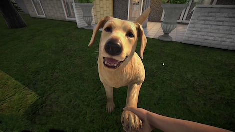 Pets Hotel (PC) - Steam Gift - EUROPE - 11