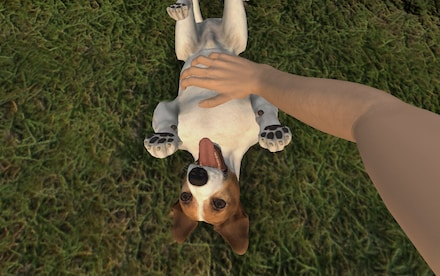 Pets Hotel (PC) - Steam Gift - EUROPE - 4