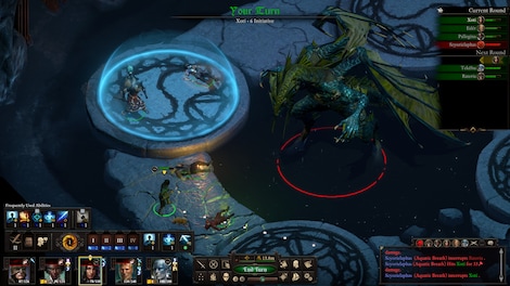 PILLARS OF ETERNITY COLLECTION Steam Key GLOBAL - 3