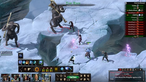 PILLARS OF ETERNITY COLLECTION Steam Key GLOBAL - 23