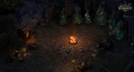 Pillars of Eternity | Game of the Year Edition (PC) - Steam Gift - GLOBAL - 5