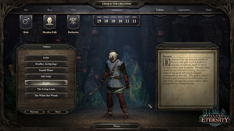 Pillars of Eternity | Game of the Year Edition (PC) - Steam Gift - GLOBAL - 3