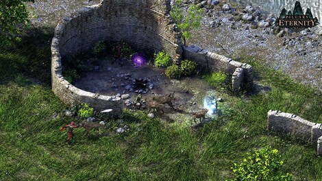 Pillars of Eternity | Hero Edition (PC) - GOG.COM Key - GLOBAL - 4