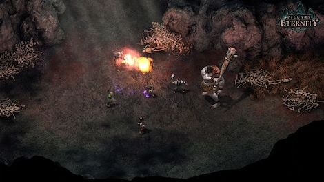 Pillars of Eternity | Hero Edition (PC) - GOG.COM Key - GLOBAL - 3