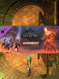 Pillars of Eternity II: Deadfire - Seeker, Slayer, Survivor Steam Gift GLOBAL - 1