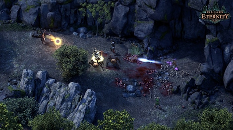 Pillars of Eternity (PC) - Epic Games Account - GLOBAL - 6