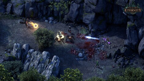 Pillars of Eternity Steam Key GLOBAL - 9