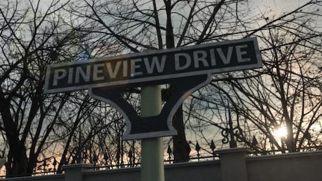 Pineview Drive (PC) - Steam Key - GLOBAL - 2
