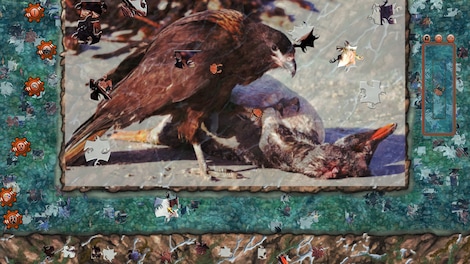 Pixel Puzzles 2: Birds Steam Key GLOBAL - 4