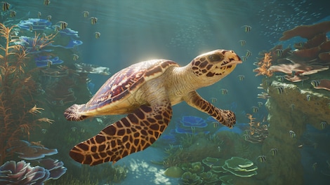 Planet Zoo 2 | Deluxe Edition (Xbox Series X/S, PC) - Xbox Live Key - EUROPE - 9