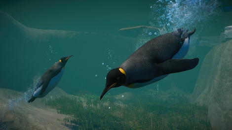 Planet Zoo: Aquatic Pack (PC) - Steam Key - CIS - 5