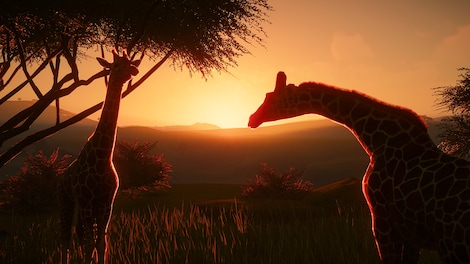 Planet Zoo: Arctic Bundle (PC) - Steam Key - GLOBAL - 9