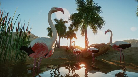 Planet Zoo: Arctic Bundle (PC) - Steam Key - GLOBAL - 11
