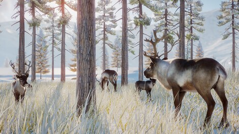 Planet Zoo: Arctic Pack (PC) - Steam Key - EUROPE - 11