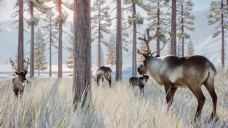 Planet Zoo: Arctic Pack - Steam Key - CIS - 11