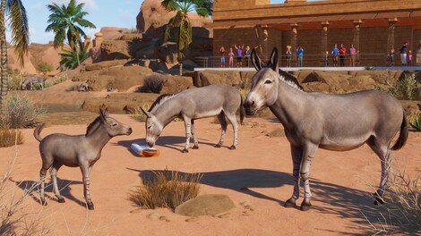 Planet Zoo: Arid Animal Pack (PC) - Steam Gift - EUROPE - 12