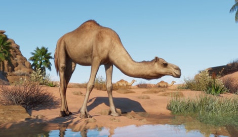 Planet Zoo: Arid Animal Pack (PC) - Steam Gift - GLOBAL - 6