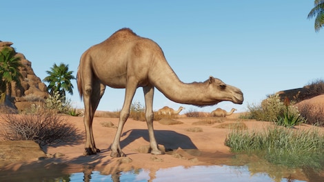 Planet Zoo: Arid Animal Pack (PC) - Steam Key - GLOBAL - 3