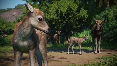 Planet Zoo: Asia Animal Pack (PC) - Steam Gift - GLOBAL - 5