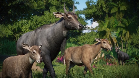 Planet Zoo: Asia Animal Pack (PC) - Steam Gift - GLOBAL - 9