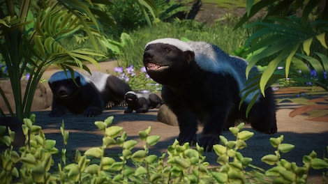 Planet Zoo: Asia Animal Pack (PC) - Steam Key - GLOBAL - 7