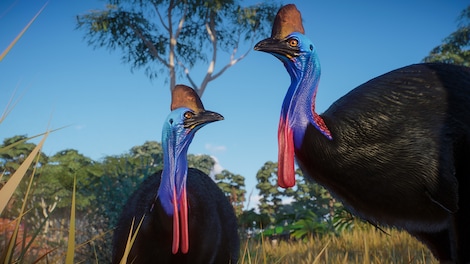 Planet Zoo: Australia Pack (PC) - Steam Key - GLOBAL - 10