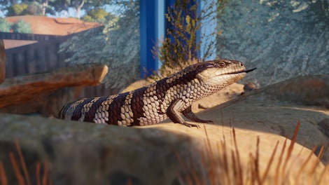 Planet Zoo: Australia Pack (PC) - Steam Key - GLOBAL - 12