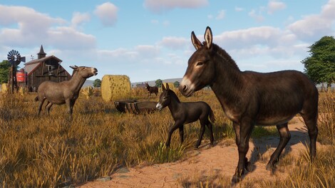 Planet Zoo: Barnyard Animal Pack (PC) - Steam Gift - EUROPE - 12